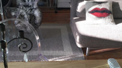 Screen Shot 2017-09-27 at 15.48.02