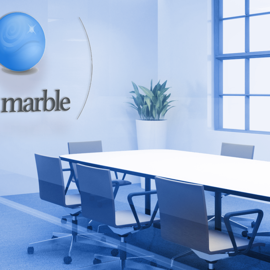 Blue Marble logo design